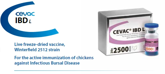 CEVAC® IBD L